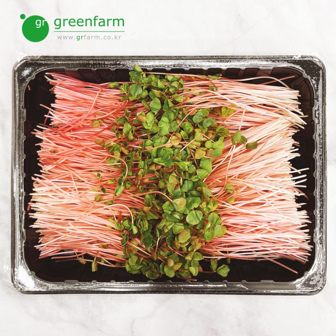 적메밀순 1팩(500g)