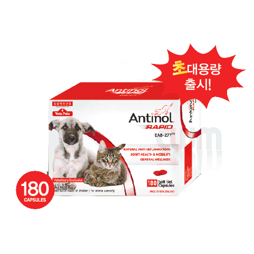 (DOG/CAT) ★기간한정할인!!★ 안티놀 래피드 대용량 천연 관절영양제(180정 캡슐)초록입홍합 추출 고순도 액상오일