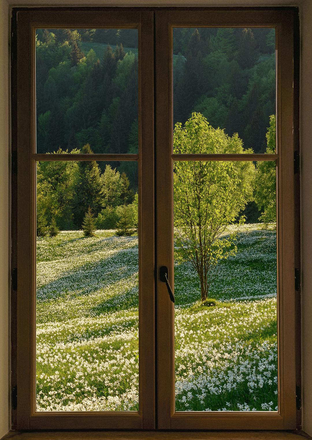 window, spring #1
