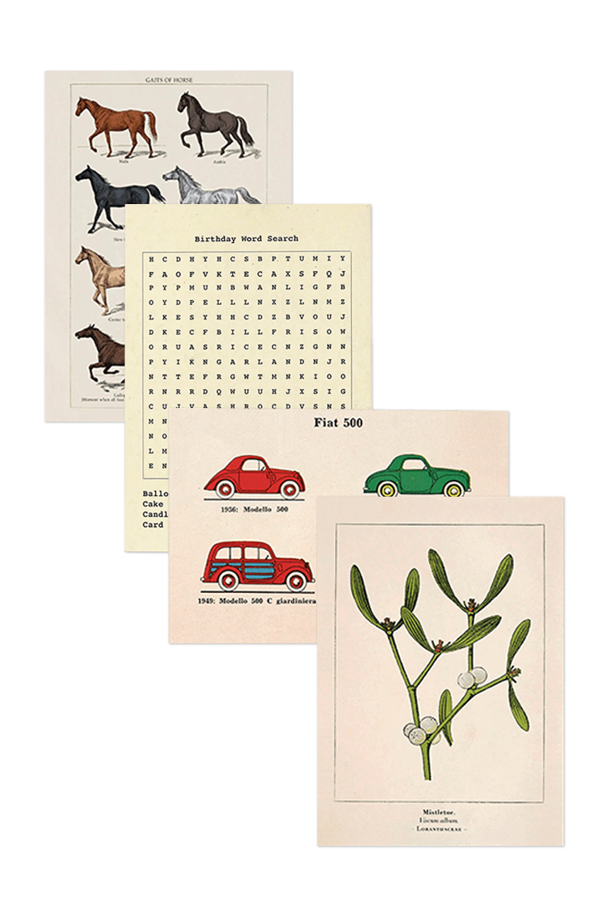 그리팅 카드 Card & Envelope