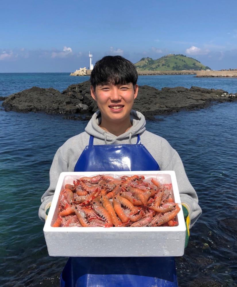 산지직송 제주도 자연산 프리미엄 딱새우 1kg 대사이즈 딱새우회