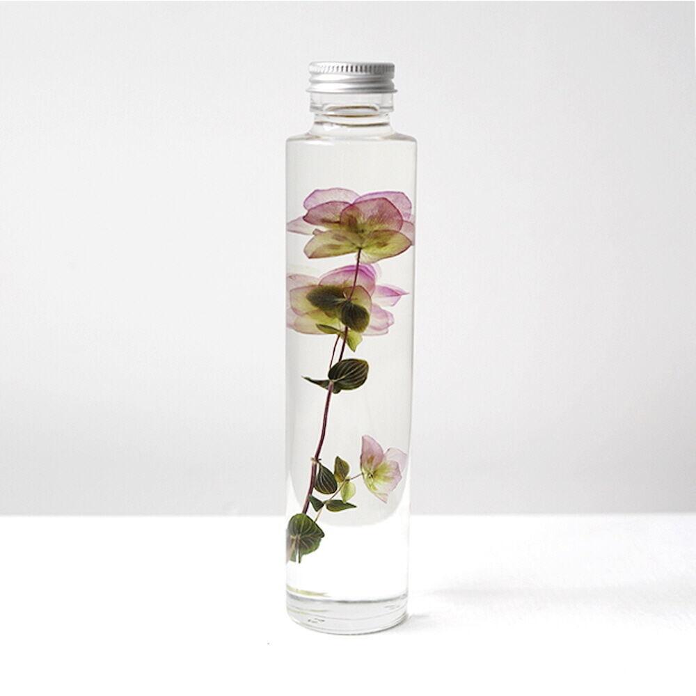 식물표본 200ml_Hydrangea