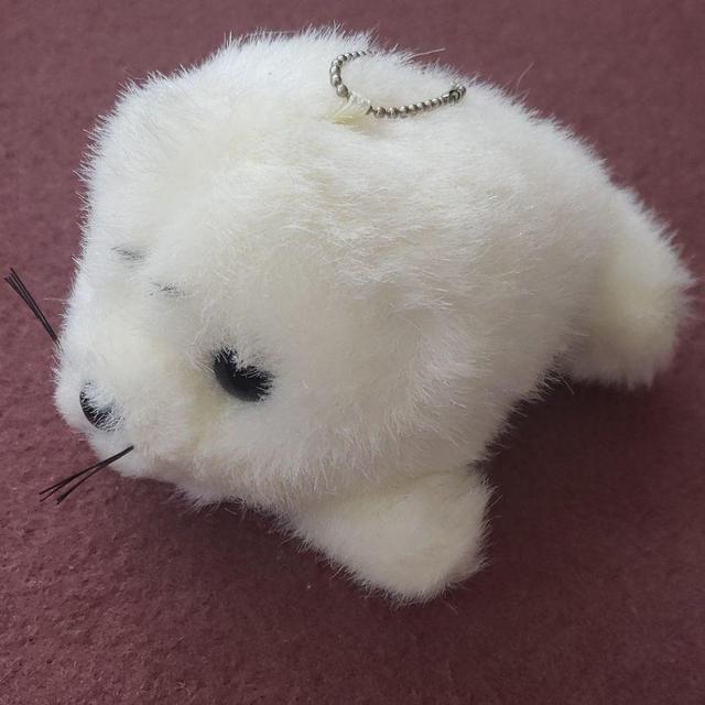 アザラシ   ぬいぐるみ キーホルダー あざらし