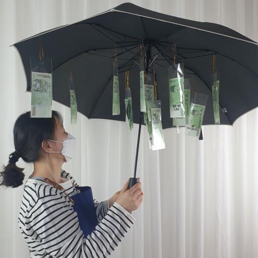 용돈우산 생신 생일 부모님 이벤트 환갑 기념일선물 반전