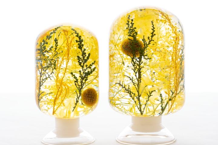 피스오브타임 pieces of time - 제주의봄