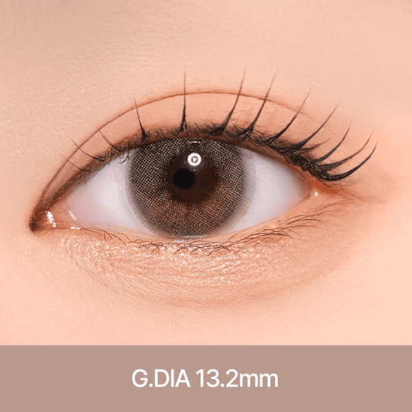 에일린 [ 그레이 ] 1개월용