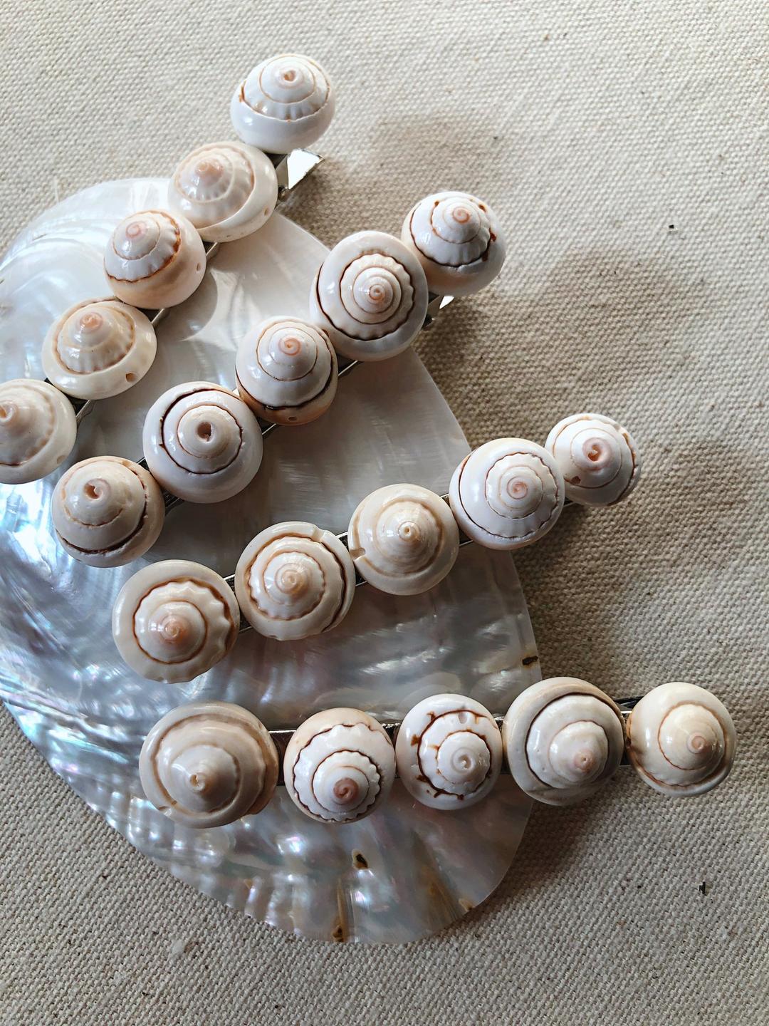 SOFIA SHELL CLIPS — N O T T E