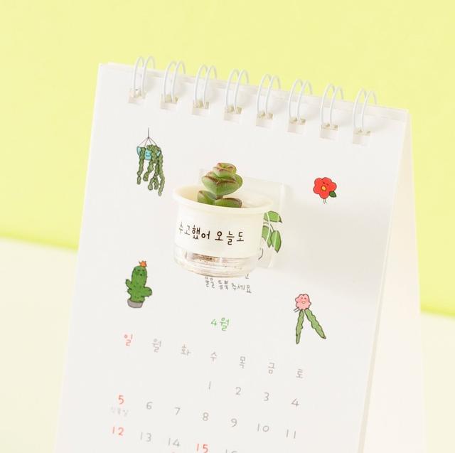 마음화분