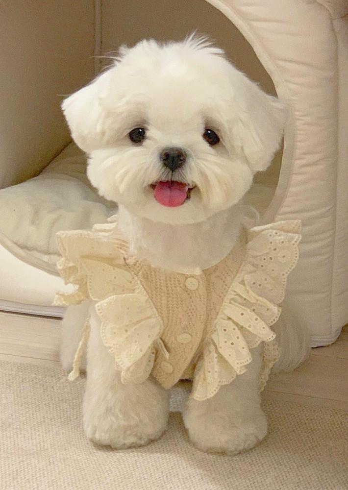 베이비 레이스 판초 살구베이지 S