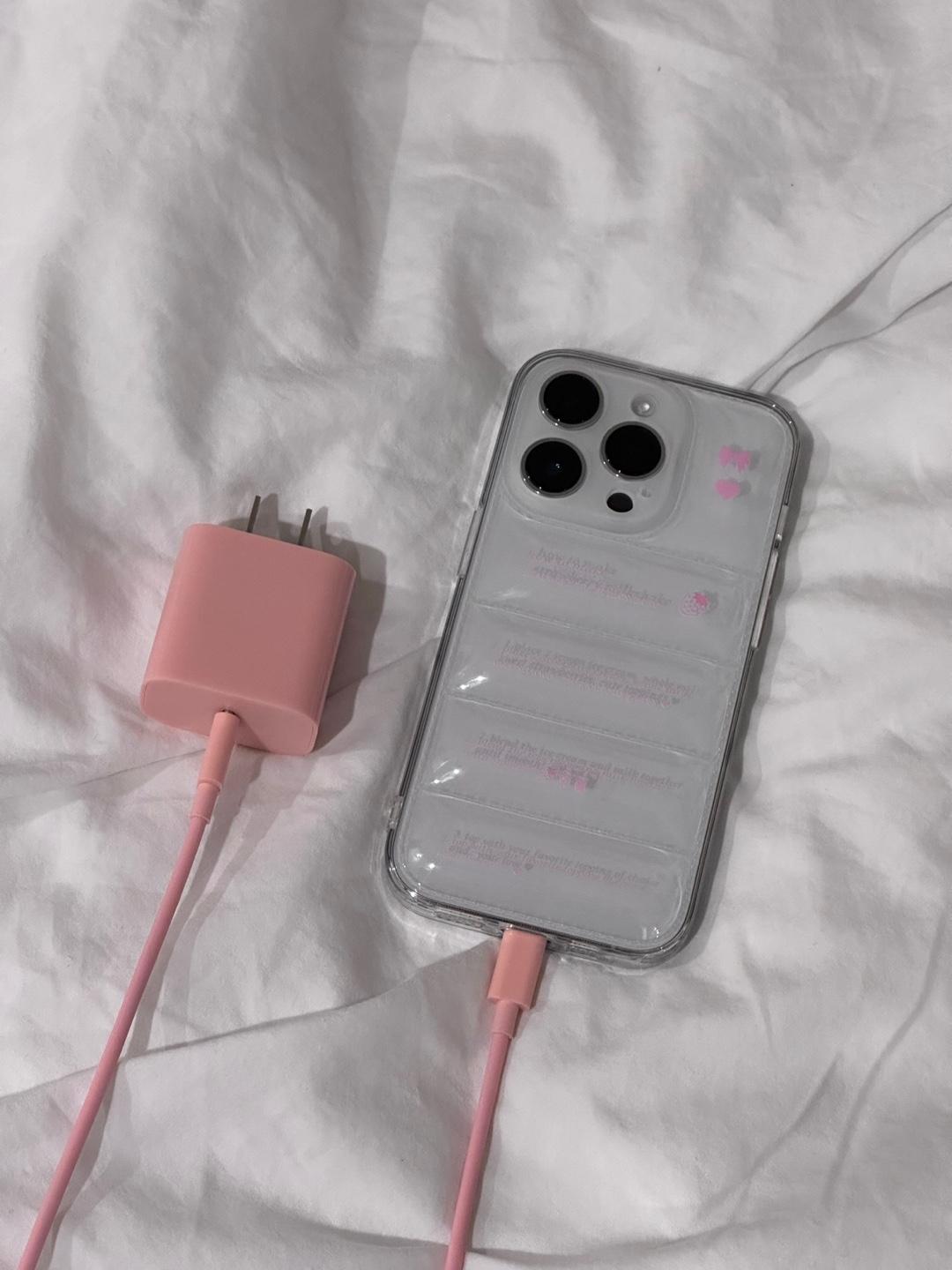 strawberibbon padded case