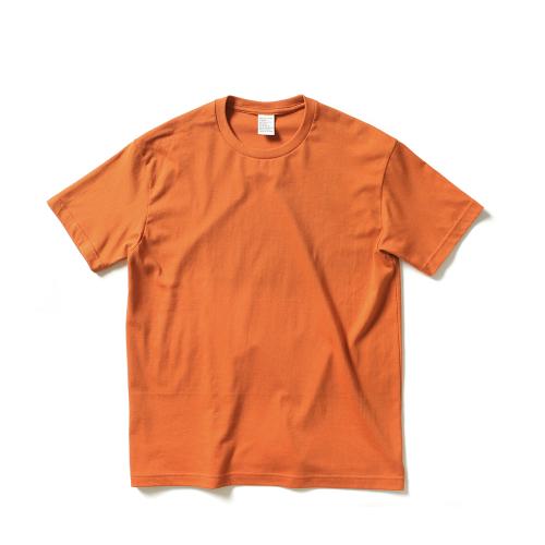 하이 소프트 라운드 티-토마토크림