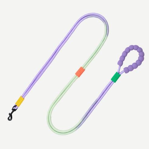 펫쭈 강아지 리드줄 목줄 핸즈프리 산책줄 멀티, 퍼플그린, Free, 1개