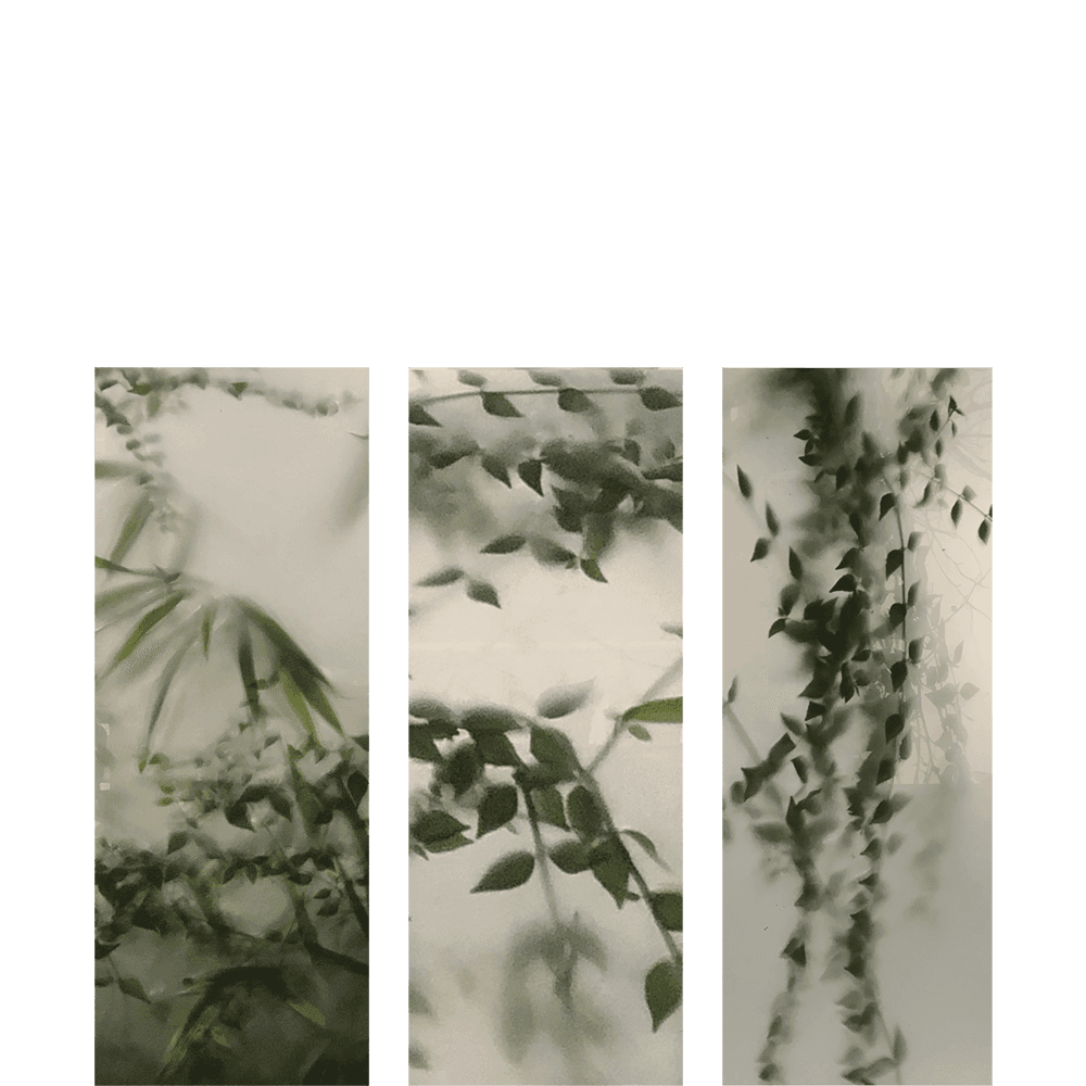 [재입고] [68개의 책갈피] 봄의 안개 양면 책갈피 3set · 지혜