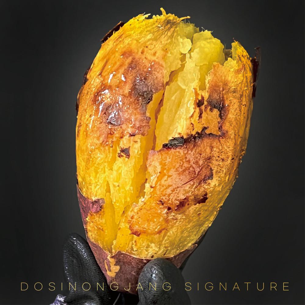 [도시농장×시골댁안주인] 쫀득달달 프리미엄 로얄벌꿀고구마 공동구매