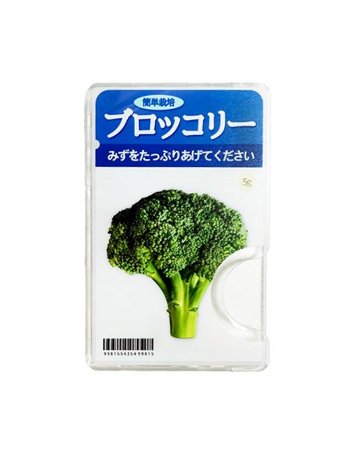 브로콜리 씨앗 맥세이프 투명 카드지갑
