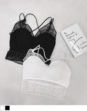 끄리 시스루 뷔스티에 브라렛