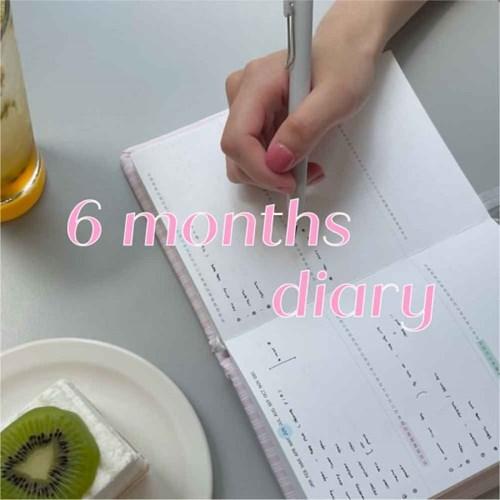 6 months diary