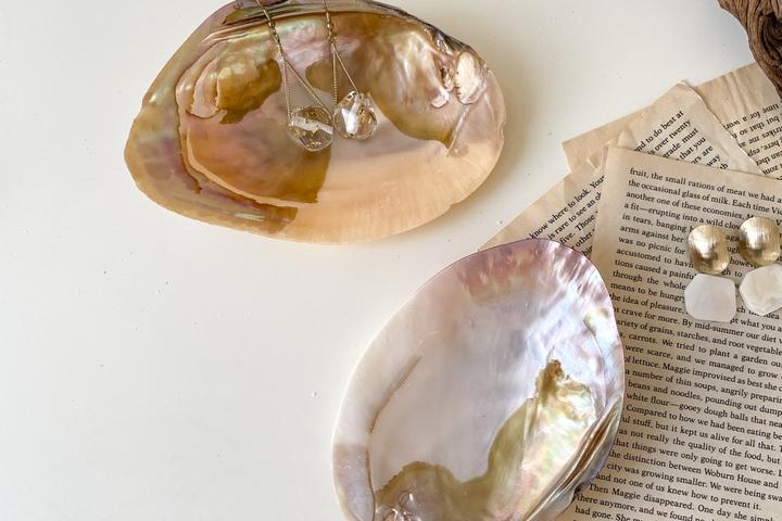 바다소품 자개트레이 천연 조개오브제 썸머 여름데코