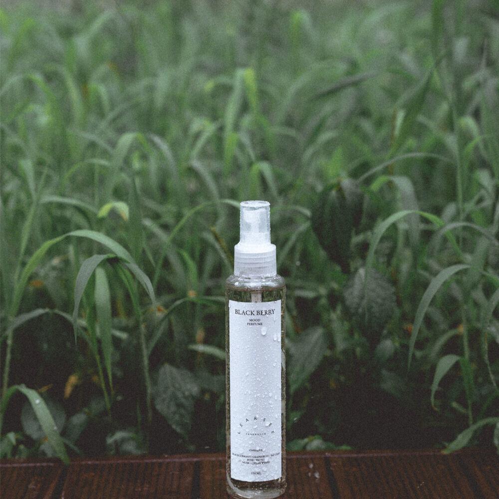 블랙베리 무드퍼퓸 (BLACK BERRY MOOD PERFUME)