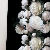 다크피오니 커튼