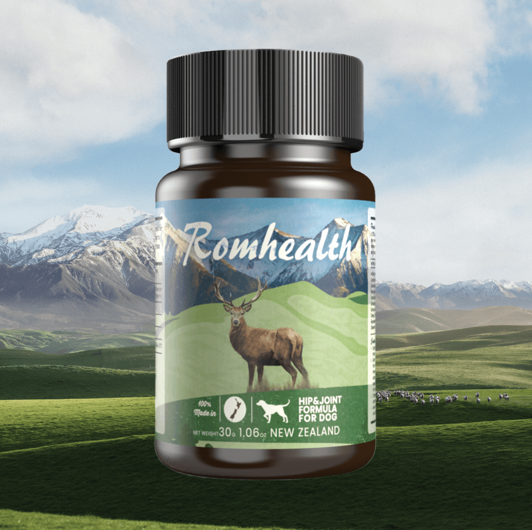 롬헬스 롬영양제 뉴질랜드 천연 강아지 영양제 힙앤조인트