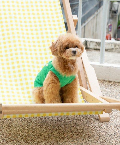 스페셜 쿨링 나시 - 그린