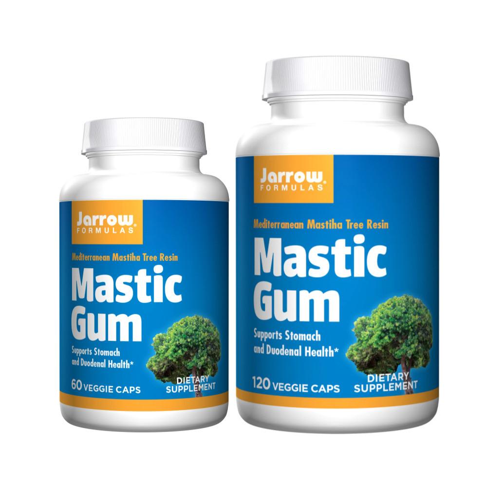 Jarrow Mastic Gum 자로우 포뮬러스 매스틱 검 1000mg 60정 120정