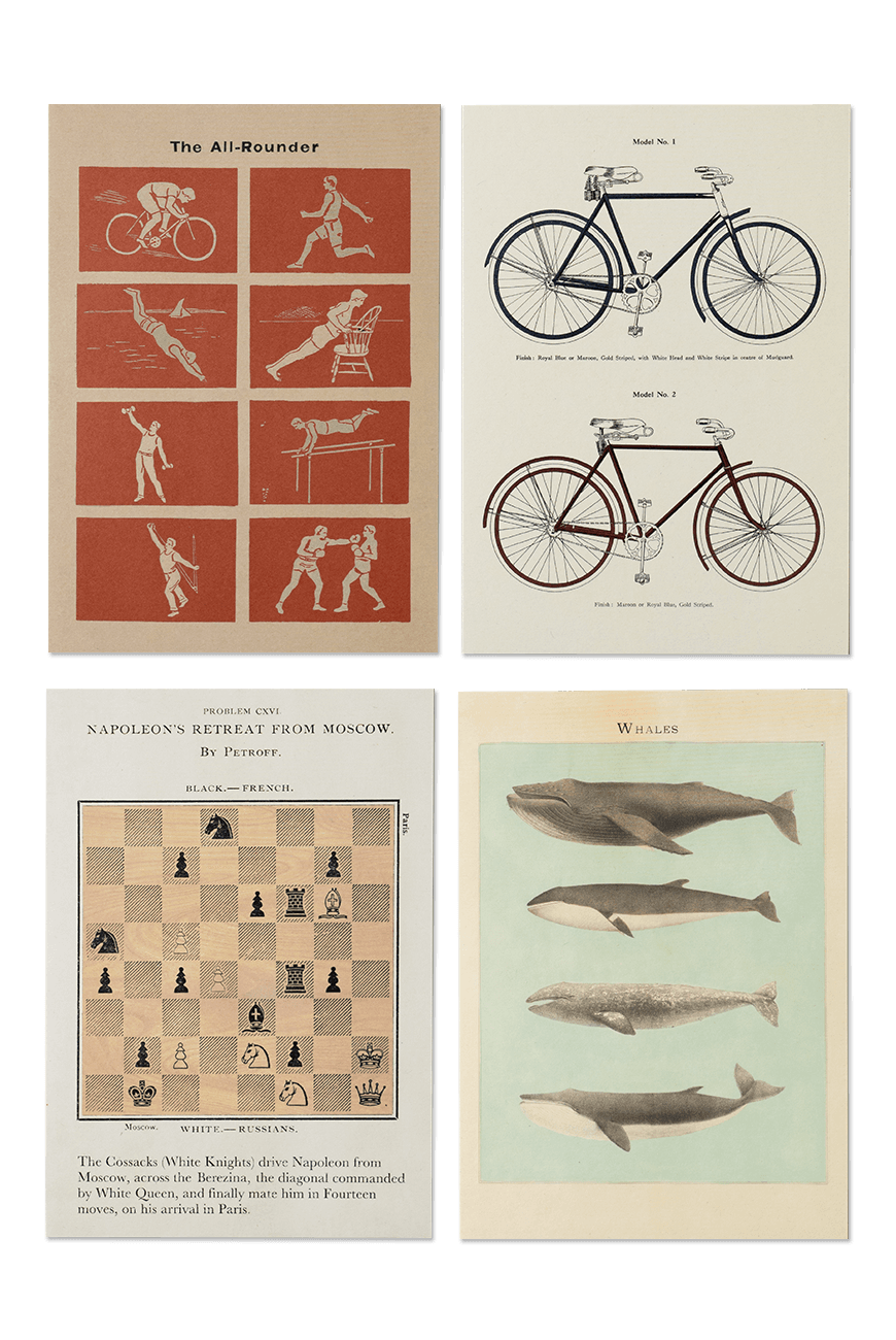 그리팅 카드  Card & Envelope