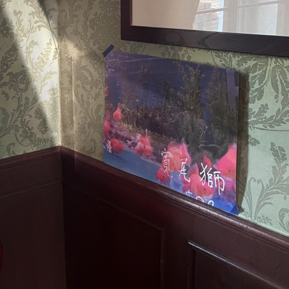Love Fish B3 Poster