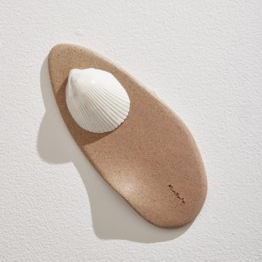 아소토 바다한조각 샌디트레이/납작조개