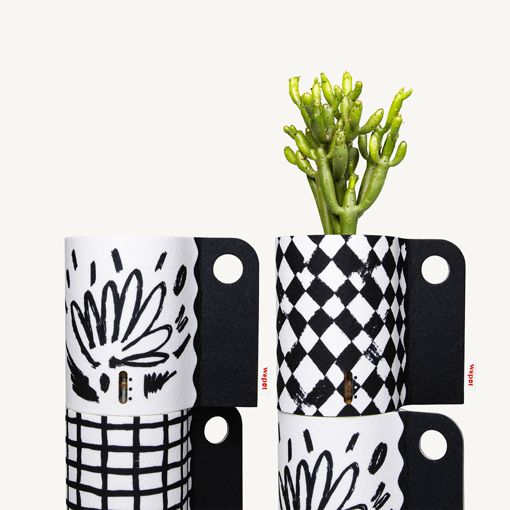 반수경재배 분갈이키트 레이어드 블랙 M