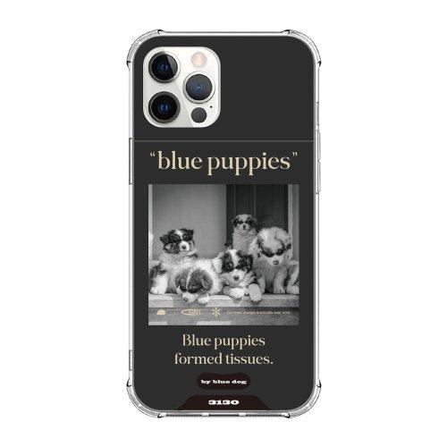 백스트릿 블루 독 케이스 - 블랙