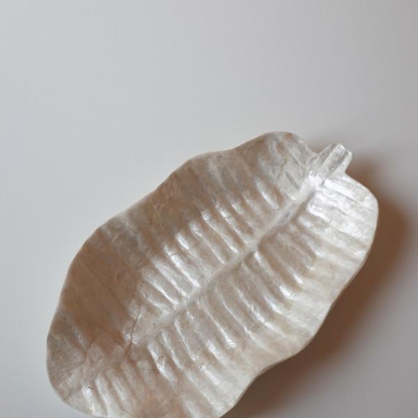 Shell Tray 14