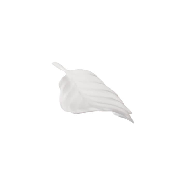 a leaf