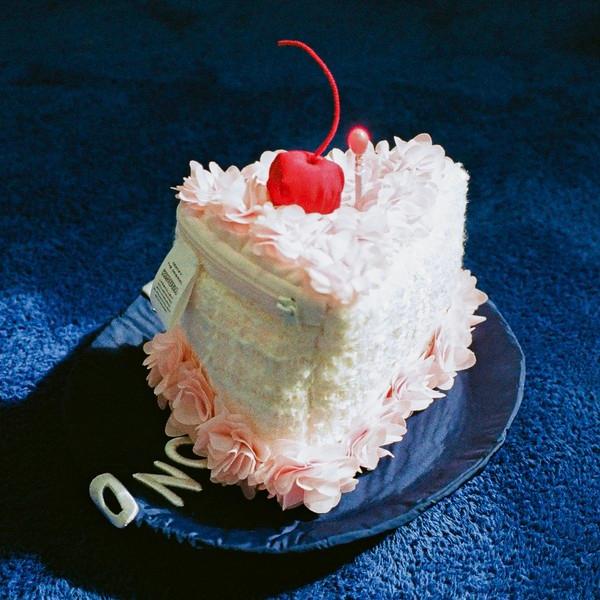 [Softy Cake Pouch] My First Pink Cake