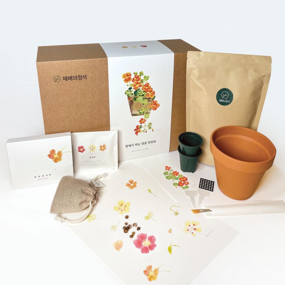 [재배의정석] 제니가든 한련화 키우기 세트 키트 꽃씨 홈가드닝