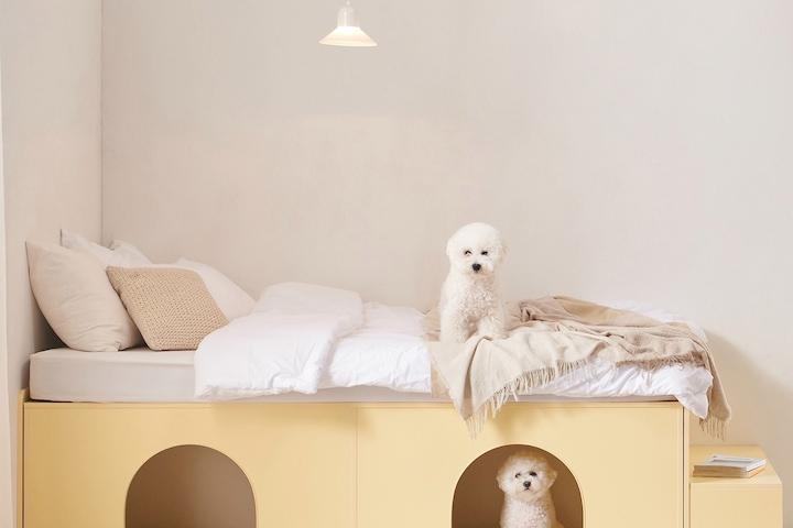 [쿠폰가 265,050원] E0 포포하이 무헤드 빅수납침대(SS/Q) 2Colors