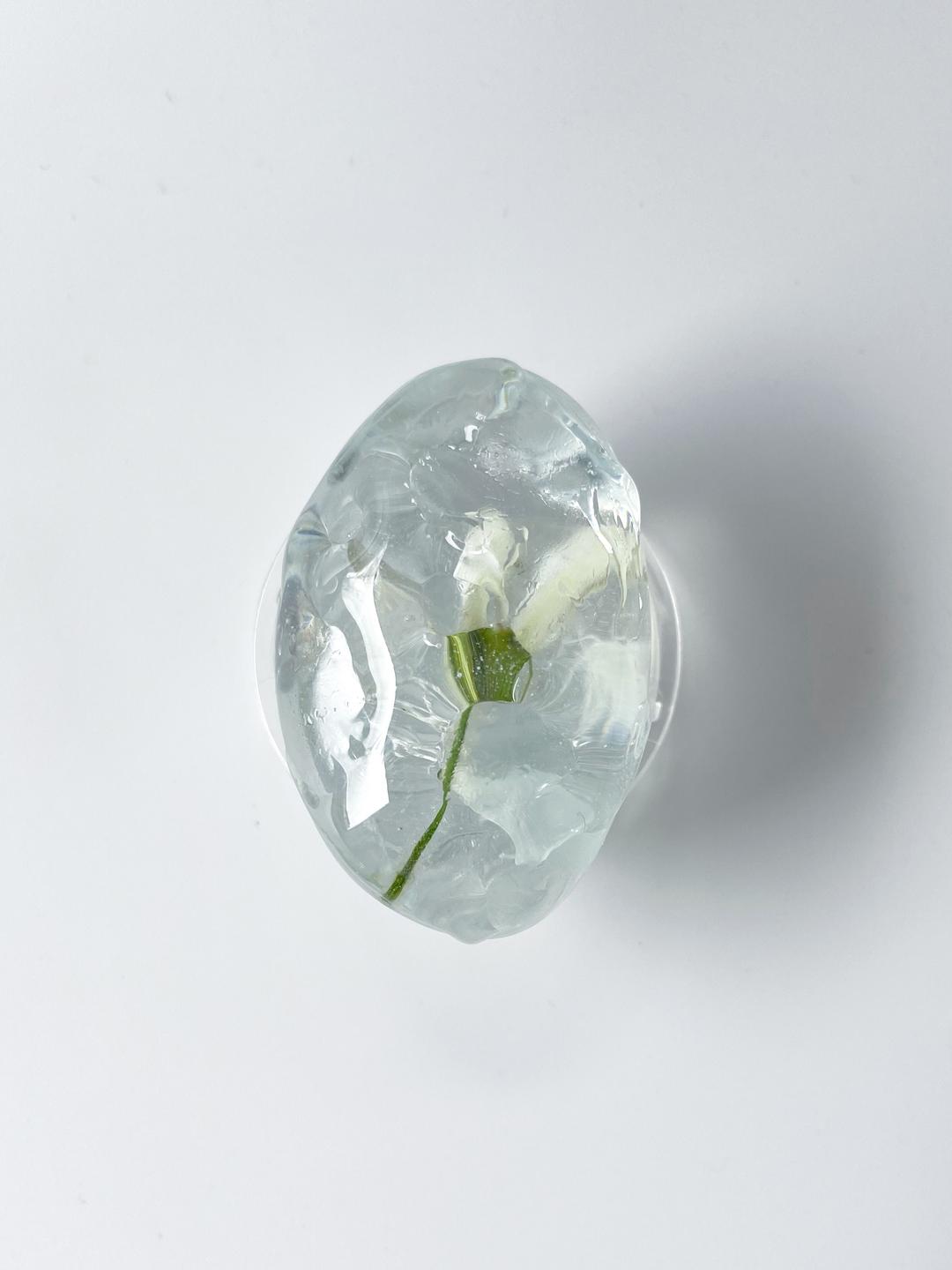 Mongsang Tok 414 (Dol)