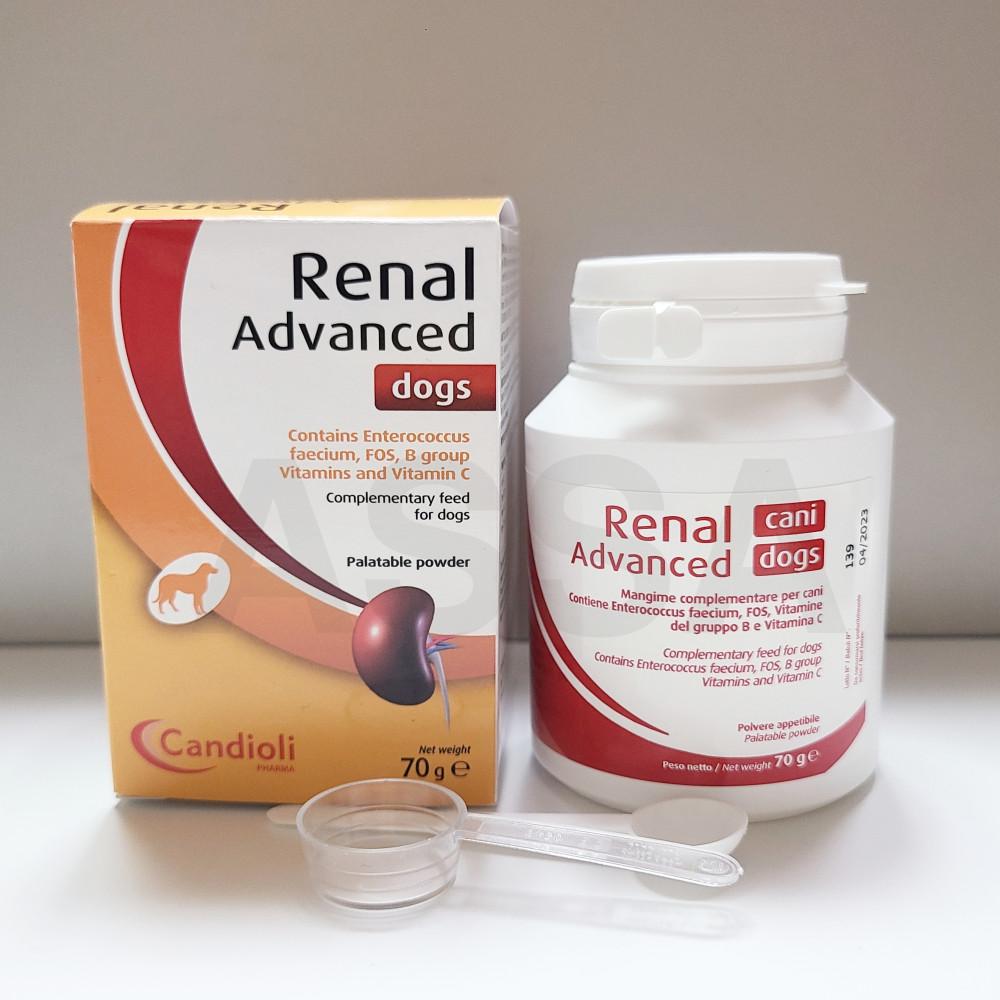 레날어드밴스드독 독스 강아지 신장질환 보조제