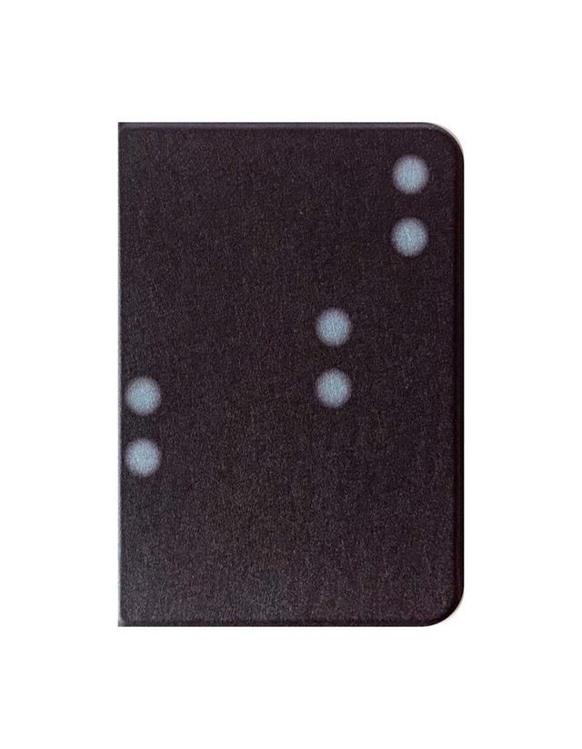 Spread Subtlety iPad Case (Brown+Aqua)