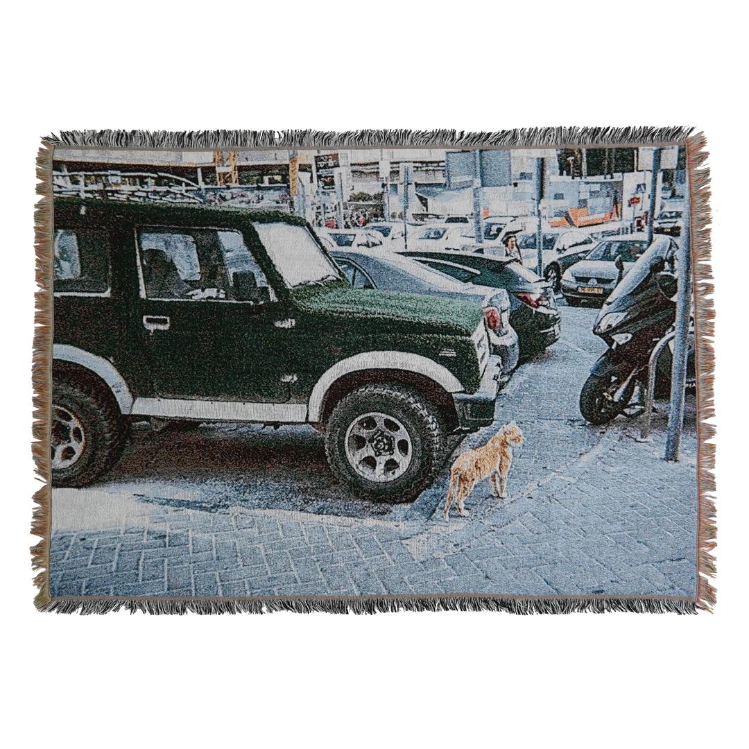 Tapestry woven blanket WB01