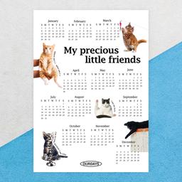 아우어데이즈 2023년 내친구 고양이 캘린더 포스터 고양이달력 한장 1장 달력 2023