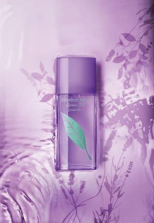 이런 상품 어때요? 그린티 라벤더 EDT 100ml