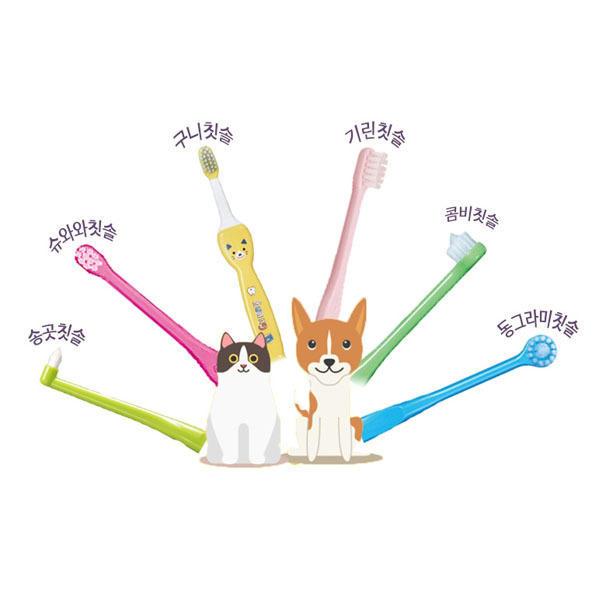 Ci메디컬 칫솔 강아지 고양이 반려동물 칫솔 모음
