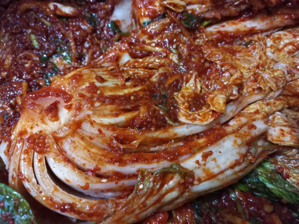 배추김치 1kg 포기김치100% 국내산 가람반찬 전라남도 국산배추 태양초