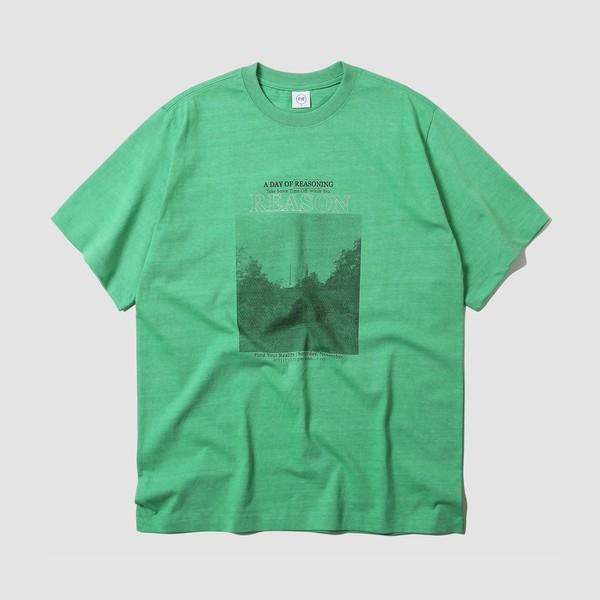노벰버티 (Green)