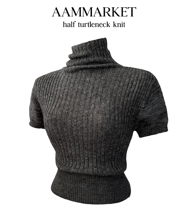 에이에이엠 [고퀄fit🖤] 골지 목폴라 반팔니트