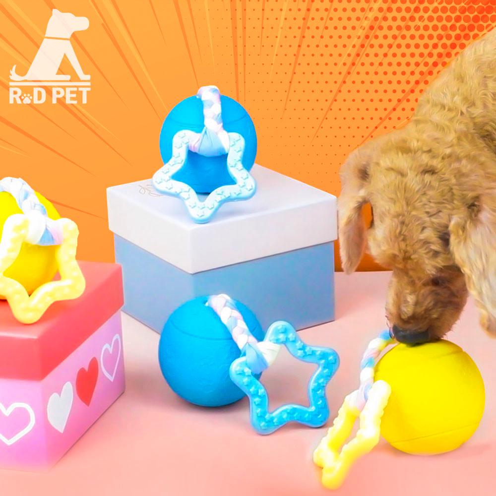 강아지 노즈워크 장난감 지능개발 간식놀이 무소음 노즈 터그볼