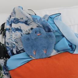 blue bird pouch