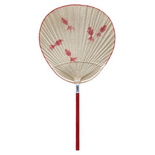 [KURIKAWA SHOTEN] SHIBU UCHIWA SHOUMARU GOLDFISH